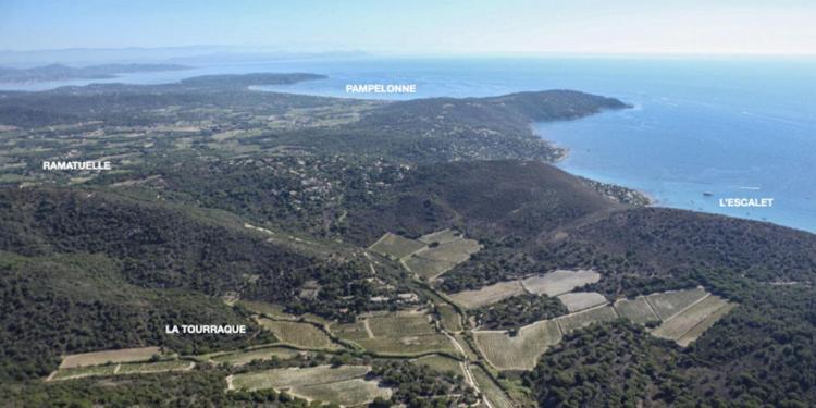 La Tourraque #WinesofProvence via @Susan_PWZ