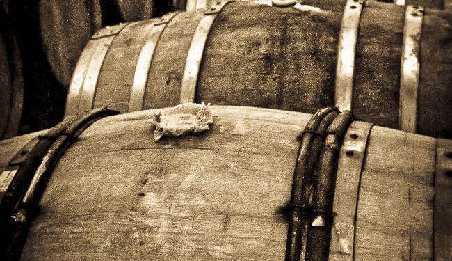 Barrel Antique #WineodFrance @Susan_PWZ