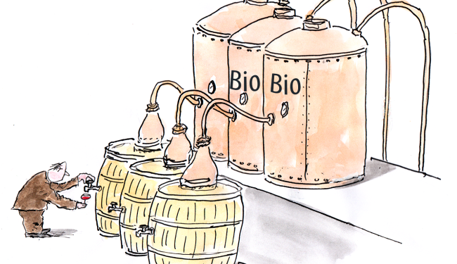 Wine Vats #WinesofFrance @Susan_PWZ