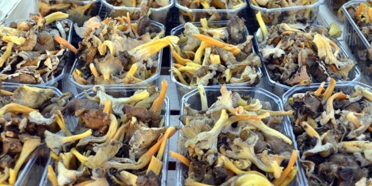 Best Markets in Provence @CuriousProvence
