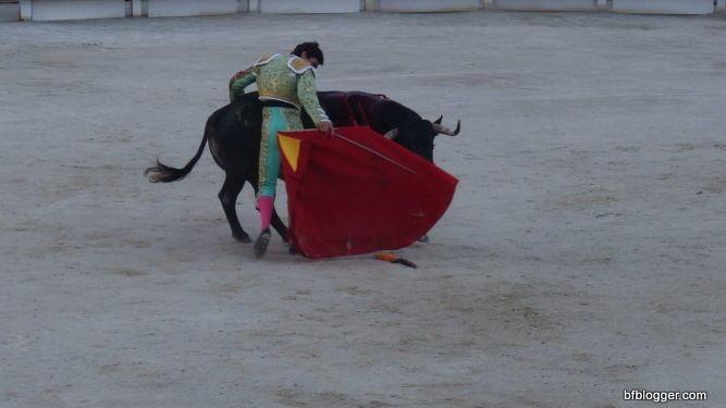 Feria du Riz in Arles #Arles #Provence @BFblogger2013