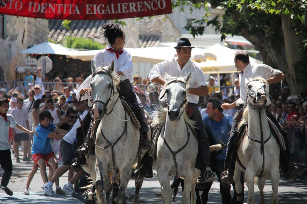 Eygalieres Fete du Village #Eygalieres #Provence @PerfProvence