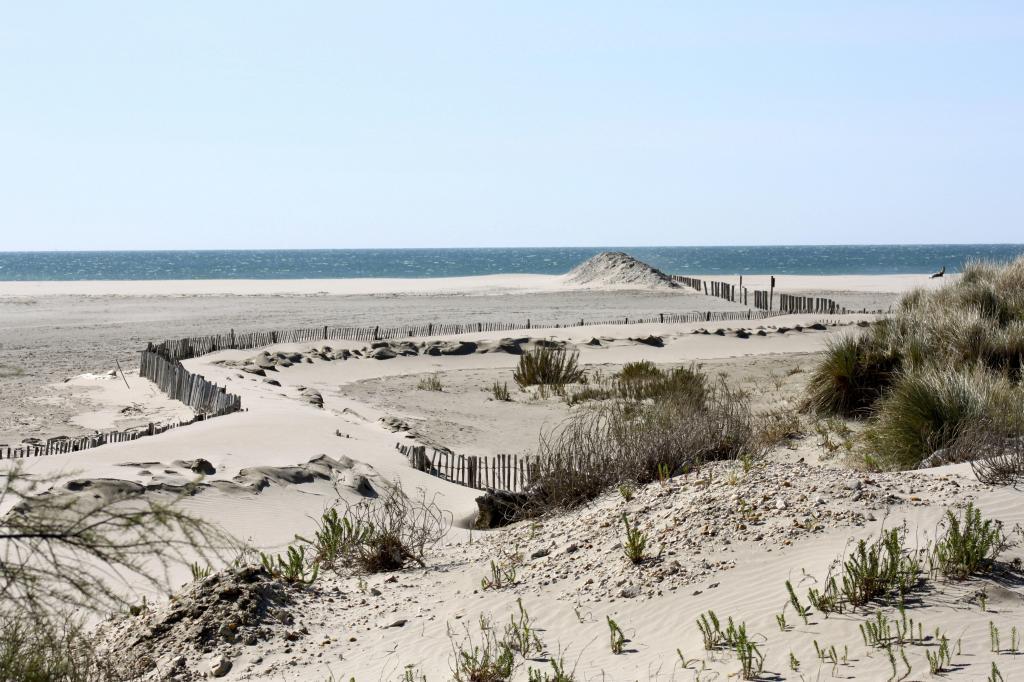 Camargue View #Camargue #Provence @PerfProvence