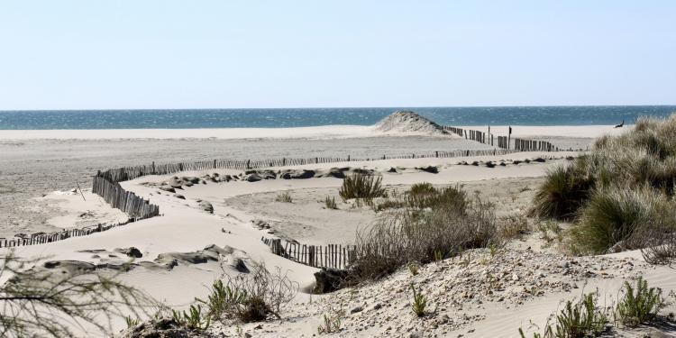 St Maries de la Mer Camargue View Provence @PerfProvence