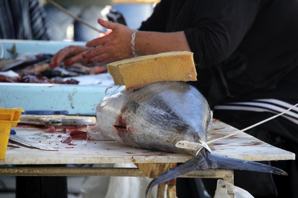 Marseille Fish Market Provence