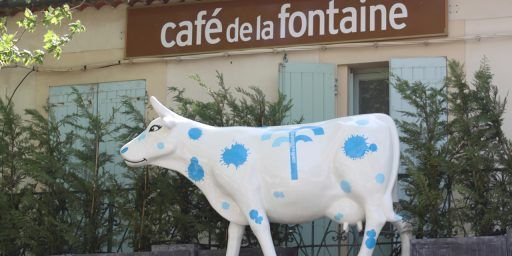 Cafe de la Fontaine Maussane Provence Restaurants @PerfectlyProvence