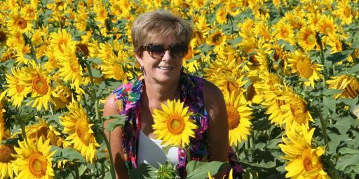 #Provence Patricia Sands Author @patricia_sands #Sunflowers