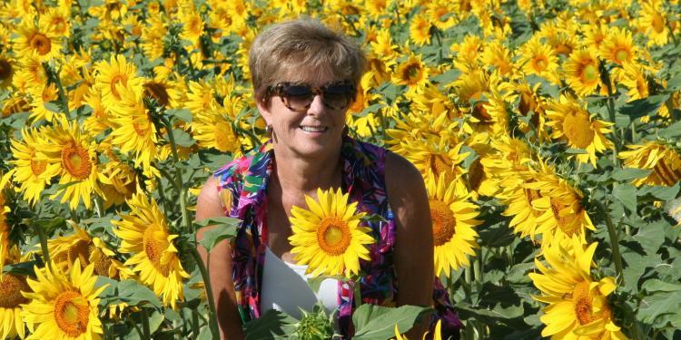 #Provence Patricia Sands Author @patricia_sands #Sunflowers
