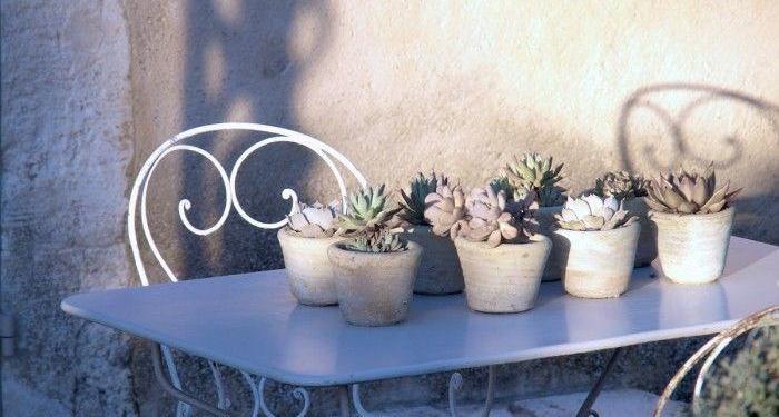 Provencal Split Personality