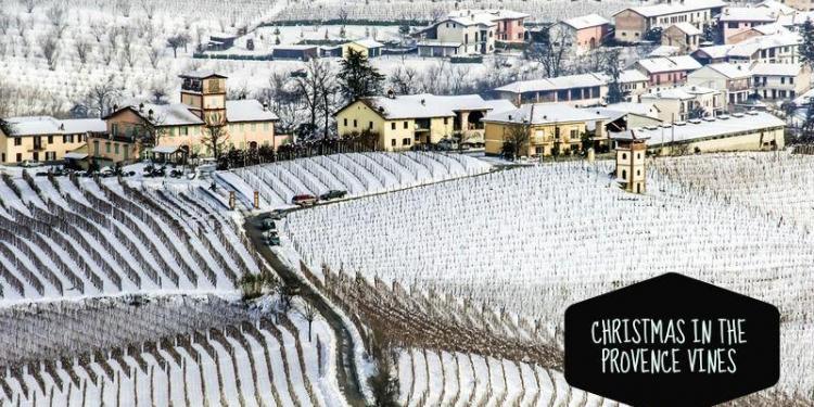Christmas in the Provence Vines #Provencewines @RivieraGrape
