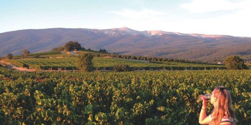 Provence Vineyards #Provence #Wines @Franceenvelo