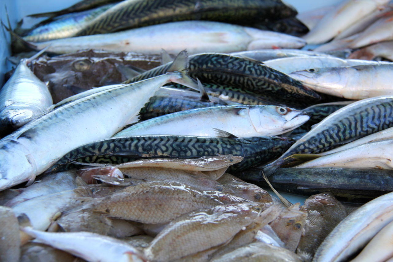 Fish Market #Marseille @PerfProvence