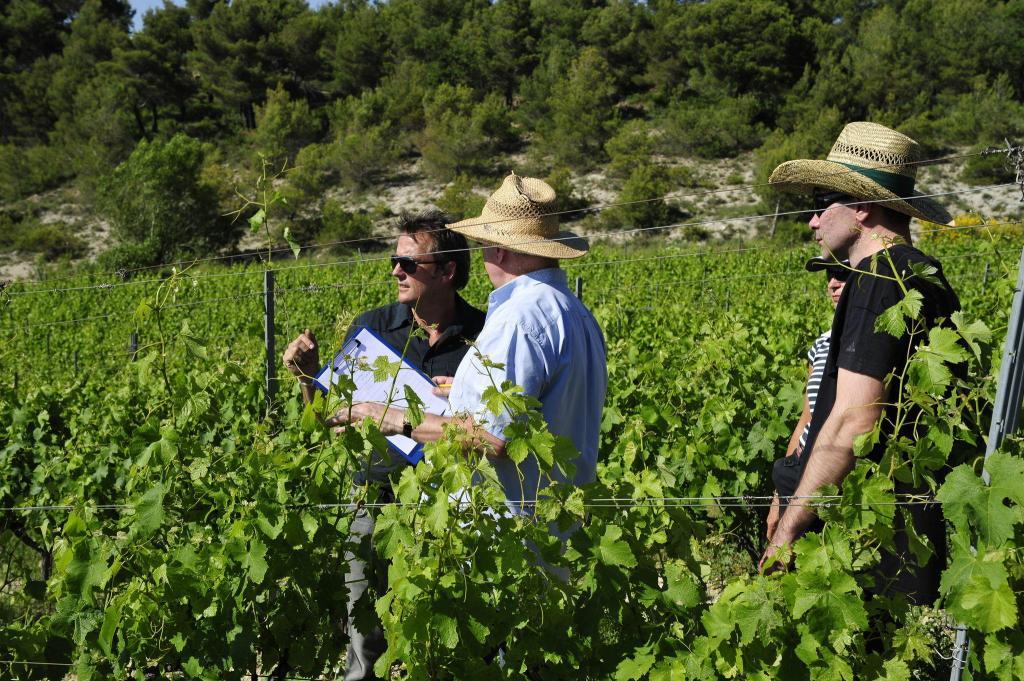Domaine de la Verriere #Provence #Wines @ExtremeWineCB