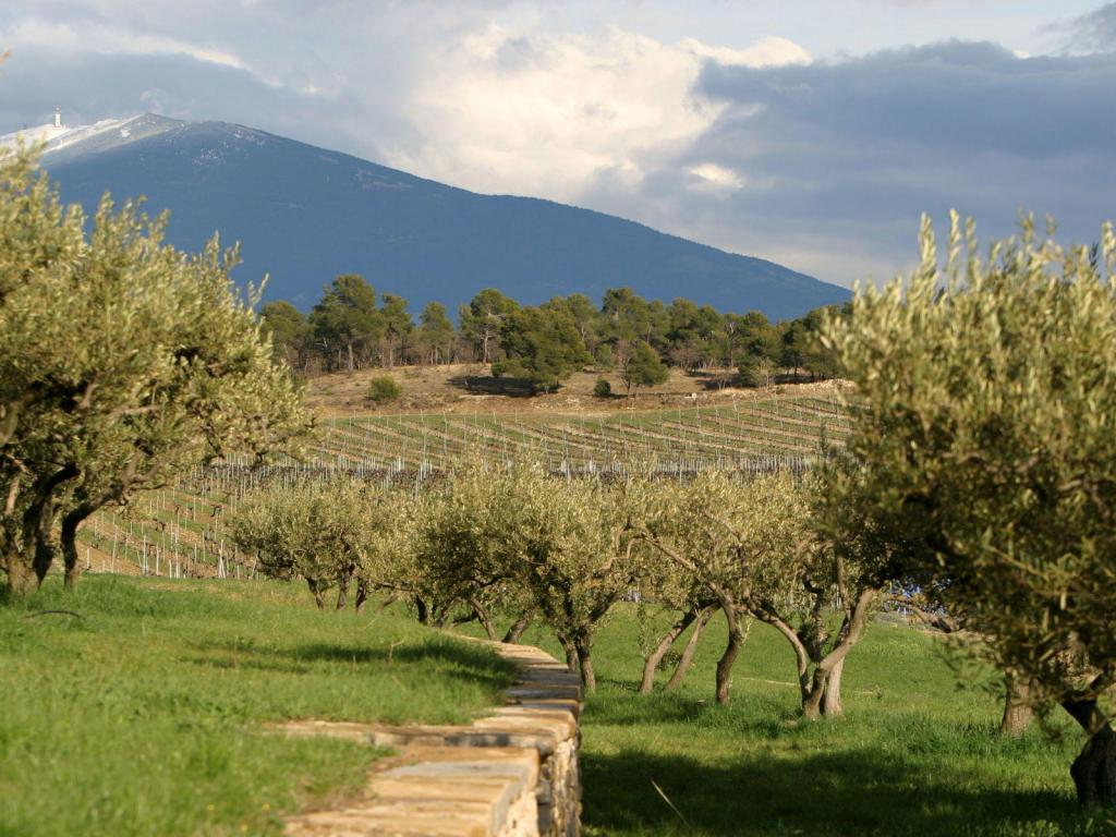Domaine de la Verriere #Provence #Wines Avec le Mt Ventoux