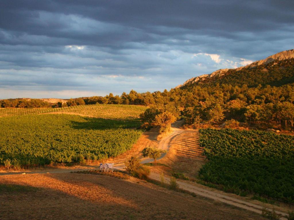 Domaine de la Verriere #Provence #Wines Coucher de soleil