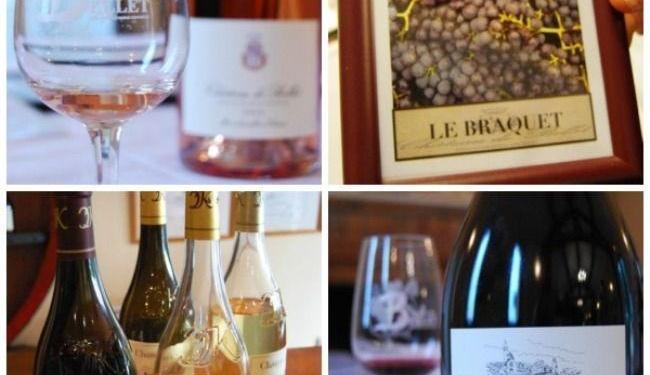 Unique Grapes of the Alpes Maritimes #ProvenceWines @RivieraGrape