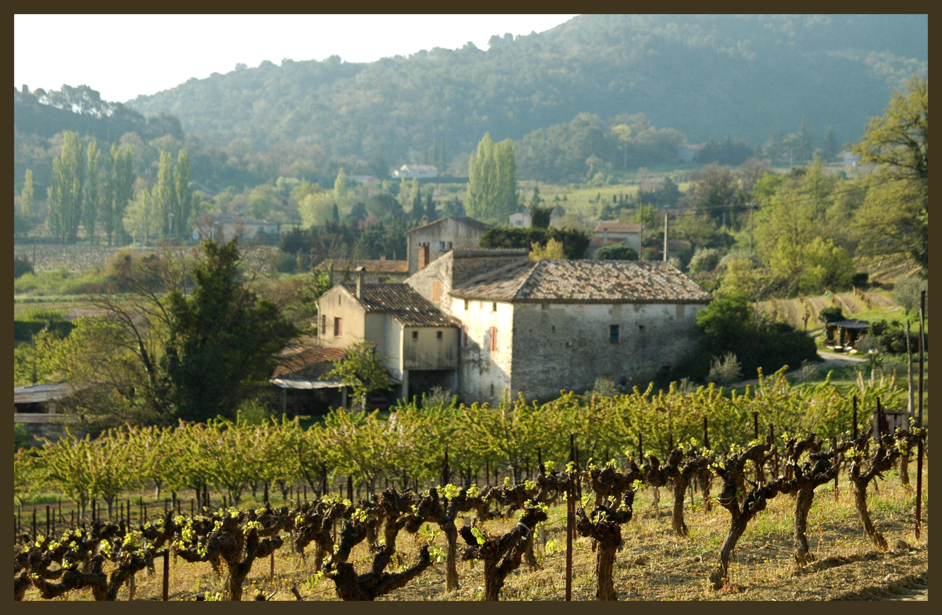 vineyard tours provence france