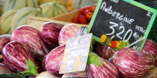 Eggplants Provence Markets