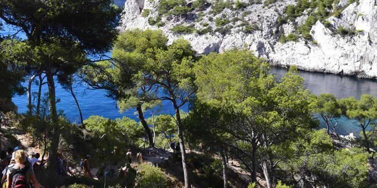 Provence Hiking #Calanques #Provence #Hiking @DreamyProvence
