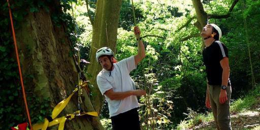 Tree Climbing #France @bfblogger2013