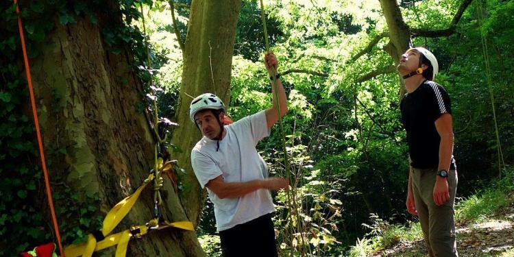 Tree Climbing #France @bfblogger2013