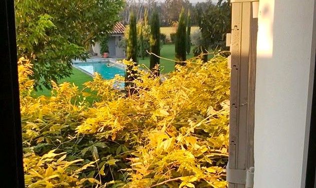 Villa View #Provence @francewithdawn