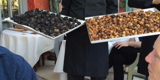 Trays of truffles at Bruno's of Lorgues @LizGabayMW