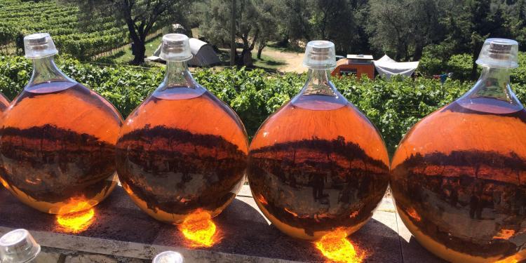 Wine ageing in th sun at St Jeannet @LizGabayMW #ProvenceWines