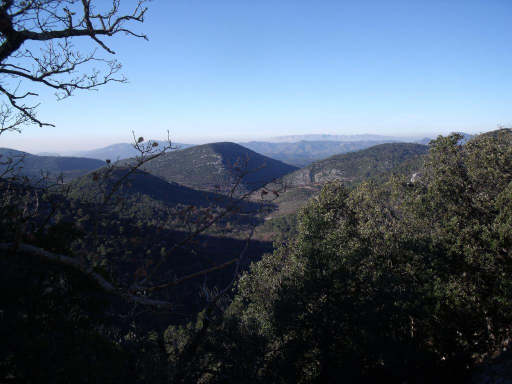 Massif Ste Baume - view north from the top @LizGabayMW