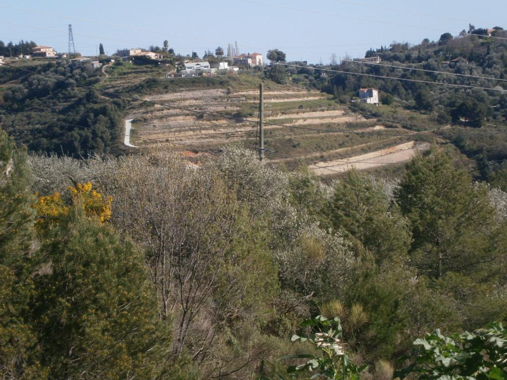 Urban vineyards of Bellet @LizGabayMW #ProvenceWines