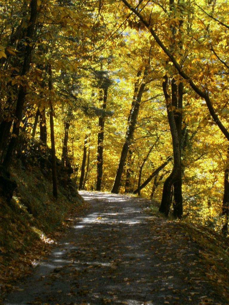 Autumn walk up un the Vésubie @LizGabayMW