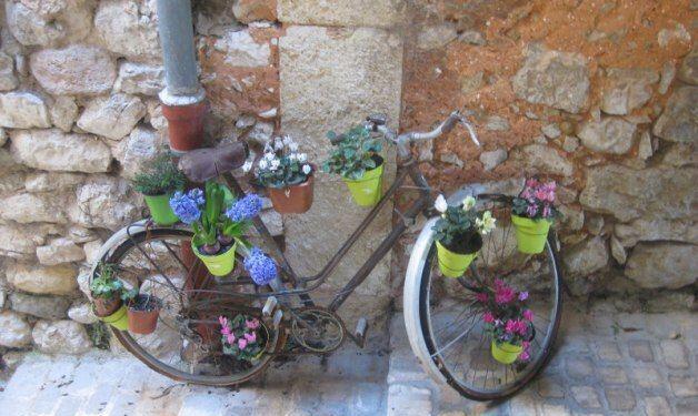 Provence bike Fête des Violettes Tourrettes sur Loup