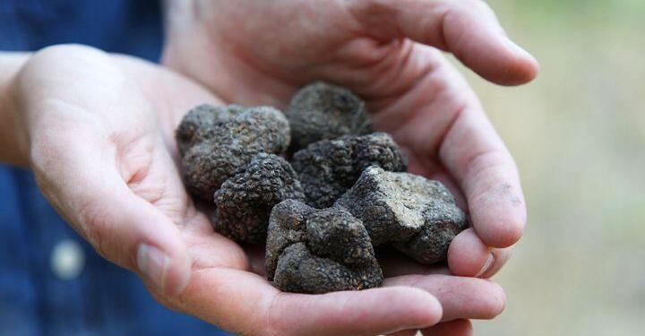 Black Diamonds Truffles
