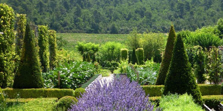 Val Joanis Remarkable #Gardens #Provence