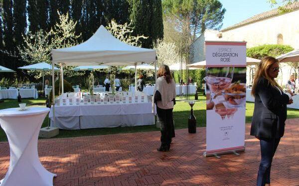 rosés of Coteaux Varois-en-Provence #WinesofProvence via @LizGabayMW