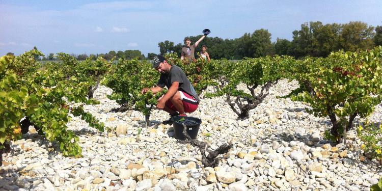 Domaine Rouge-Bleu #Provence #Wines