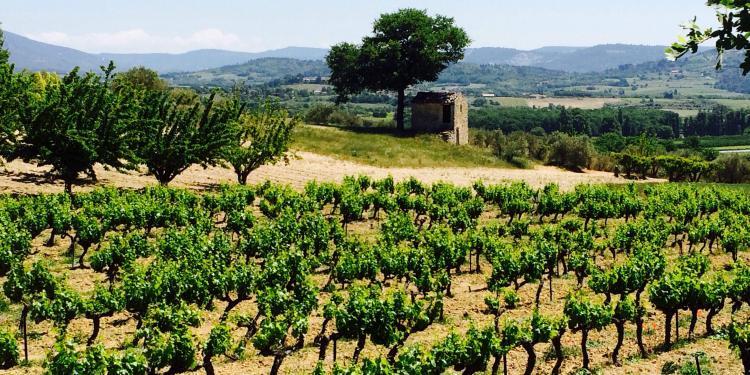 Hiking the Perreal #Hiking #Provence @ProvenceTayls