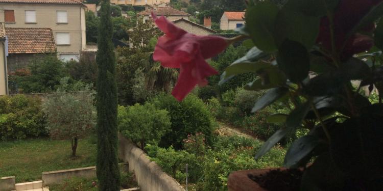 Vaison-la-Romaine
