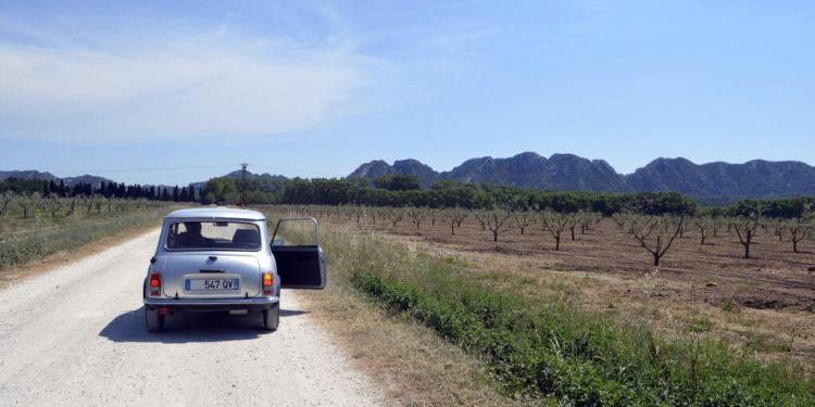Alpilles Wine Tasting AOC Les Baux de Provence