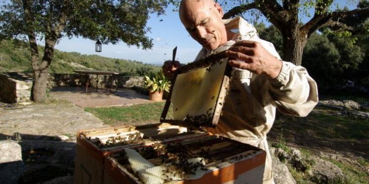 Cotignac beehive-removal @Mirabeauwine #Honey #Provence