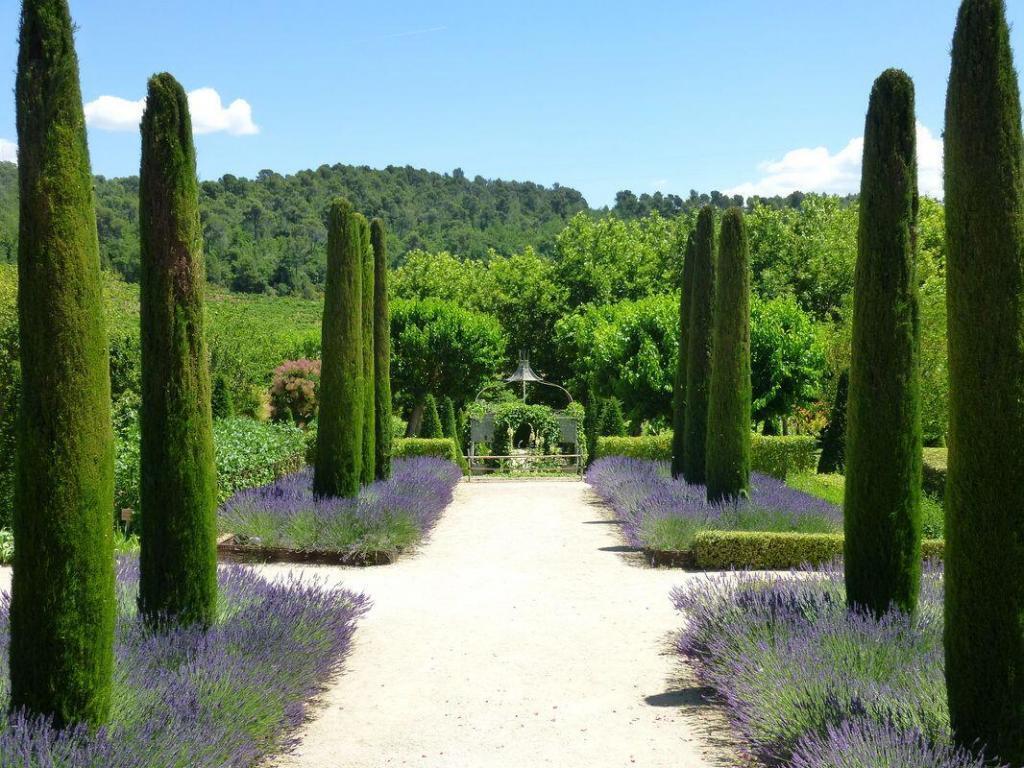Discover Provence Wine @AboutProvence