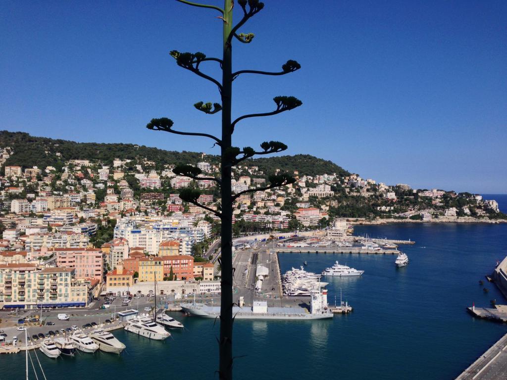 Nice Old Port #Nice06 #CotedAzur @PerfProvence