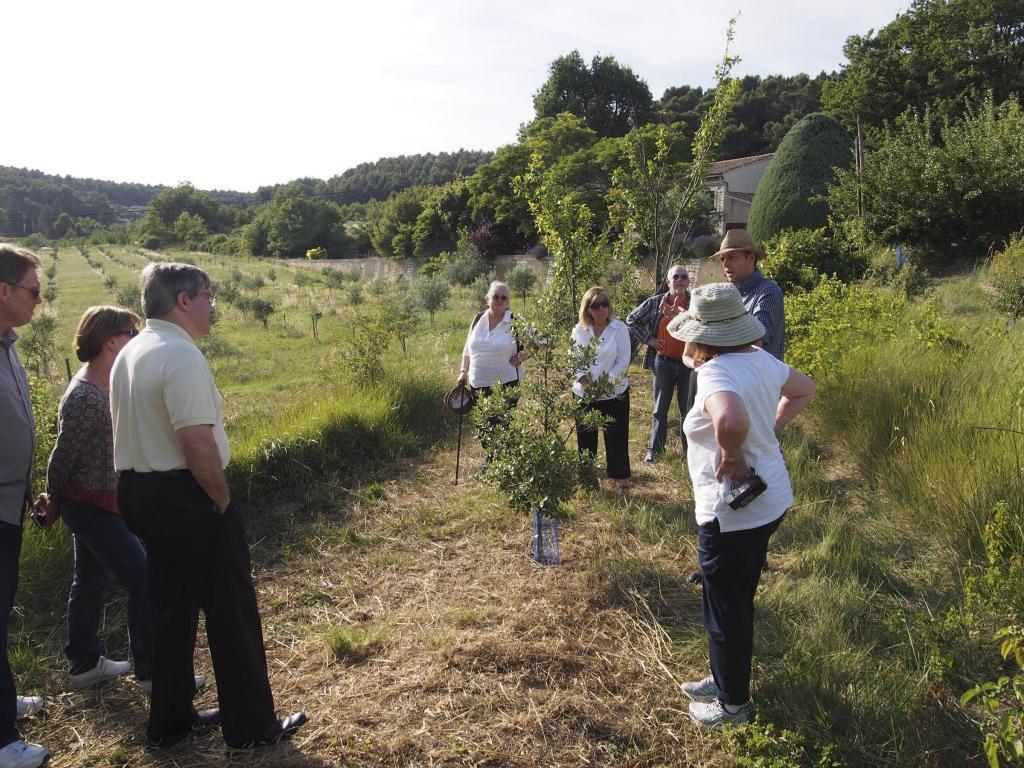 The Modern Trobadors @ModernTrobador #Provence Tour