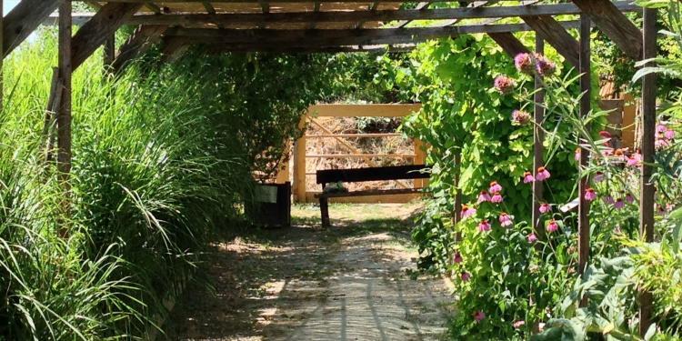 Welcome shade Garden Couleur Garance #Lauris #Provence