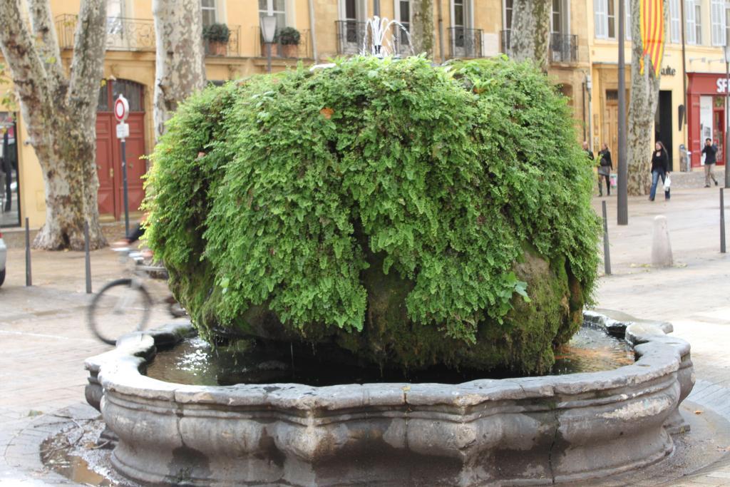 Mossy Fountain Cours Mirabeau Aix-en-Provence 