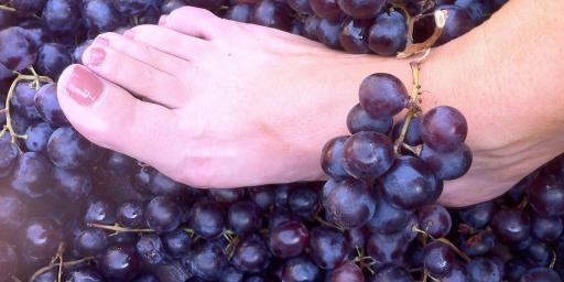 Les Pastras Grape Crush #WinesofProvence @LesPastras