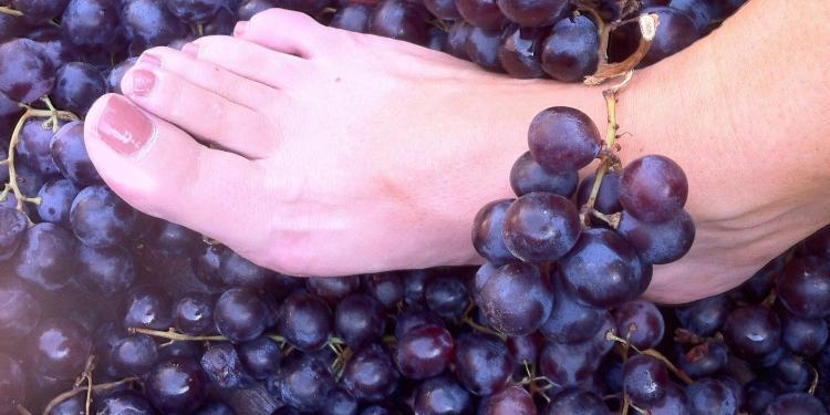 Les Pastras Grape Crush #WinesofProvence @LesPastras