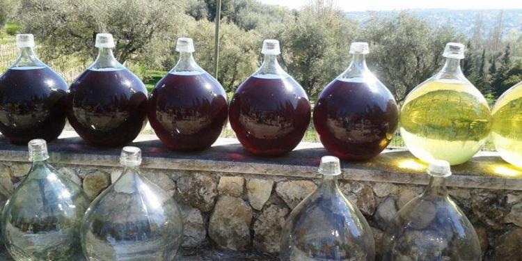 Visiting Vignoble Rasse IGP Alpes-Maritimes @RivieraGrape #WinesofProvence