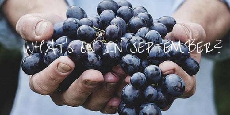 September Wine Events #FrenchRiviera @RivieraGrape