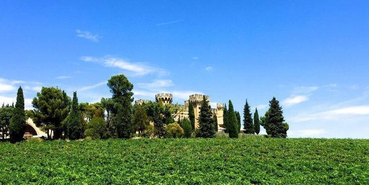 Chateauneuf du Pape #RhoneWines @bfblogger2015